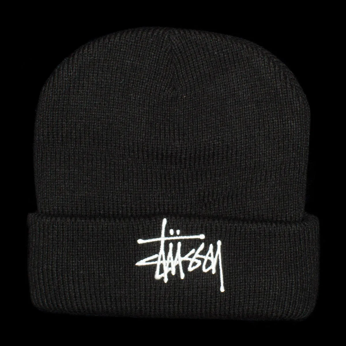 Big Basic Thinsulate Beanie